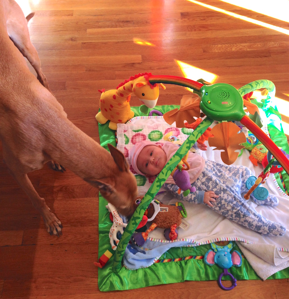 Babywoods and Frugal Hound love the play mat