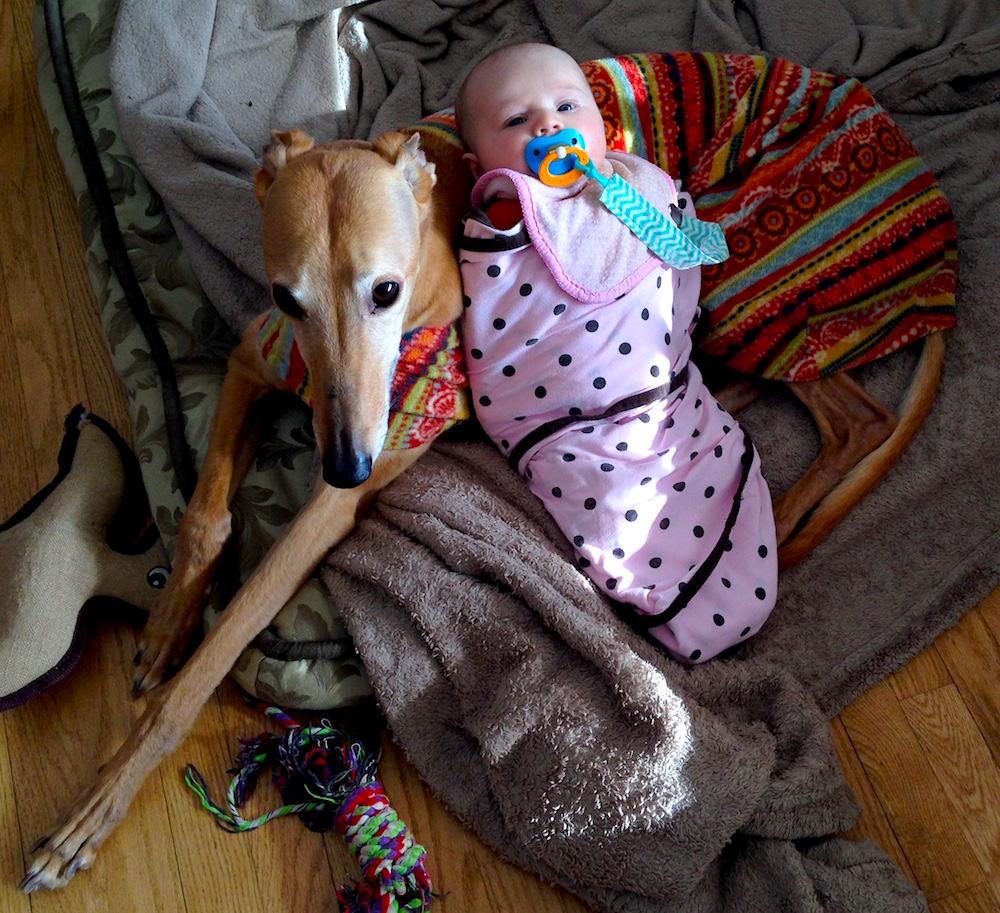 Babywoods hanging out in her Miracle Swaddle with Frugal Hound