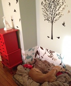 The completed dog corner!
