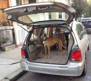 Frugal Hound shows off our sweet 18-yr-old ride