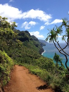 We hiked the Na Pali Coast in Kauai (HI)
