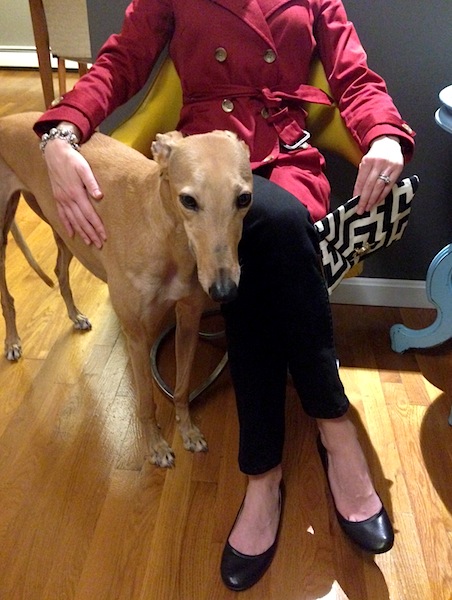 Frugal Hound and I showing off my tags-still-on Banana Republic thrift store trench coat