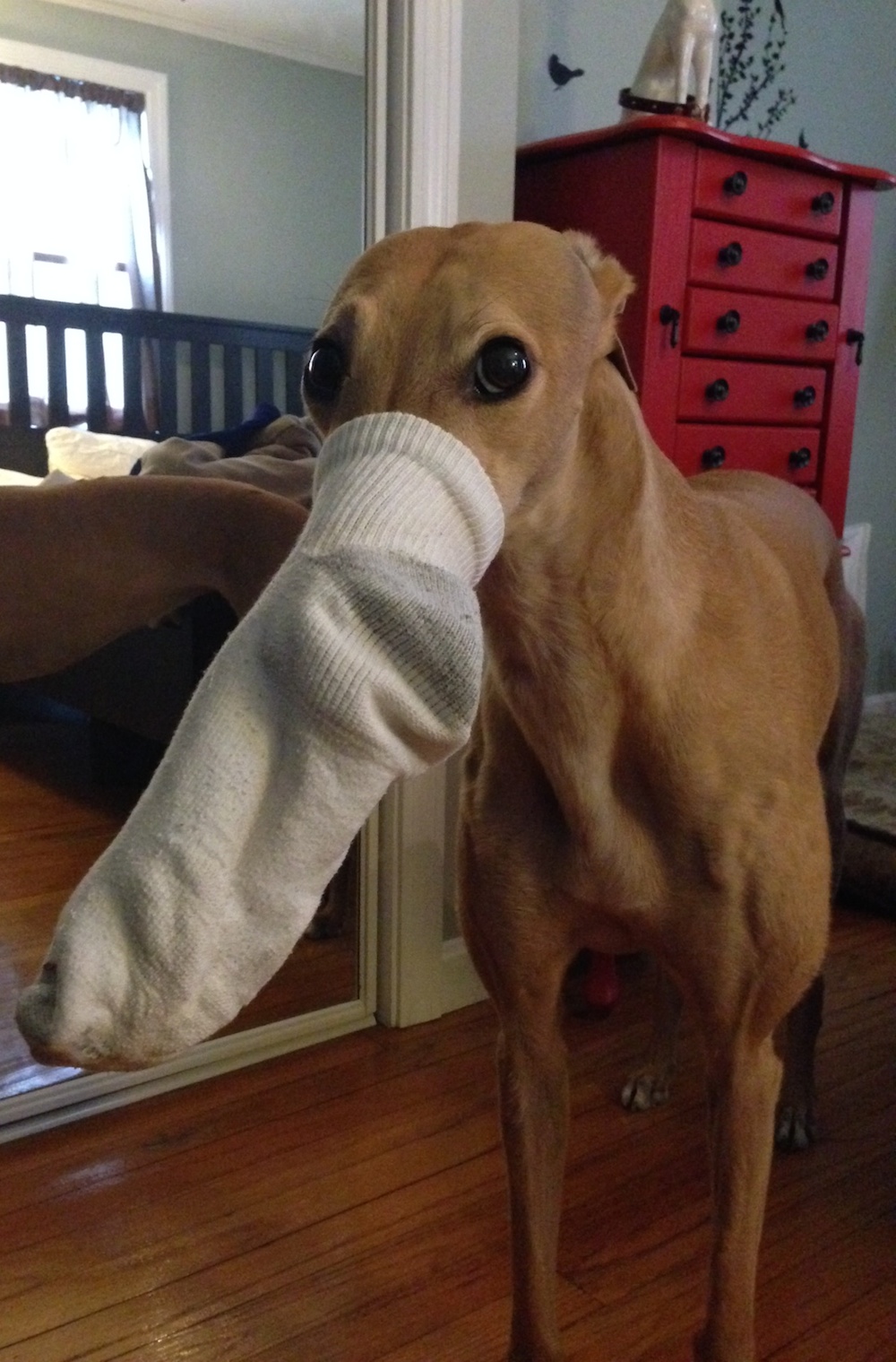 Someone should wash this sock
