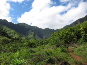 Kalalau Trail in Kauai, HI