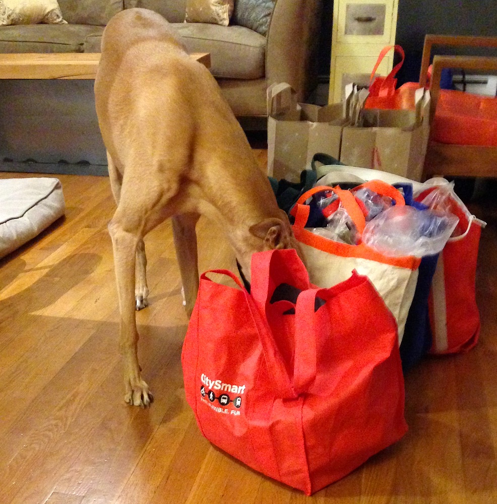 Frugal Hound scopes out our groceries