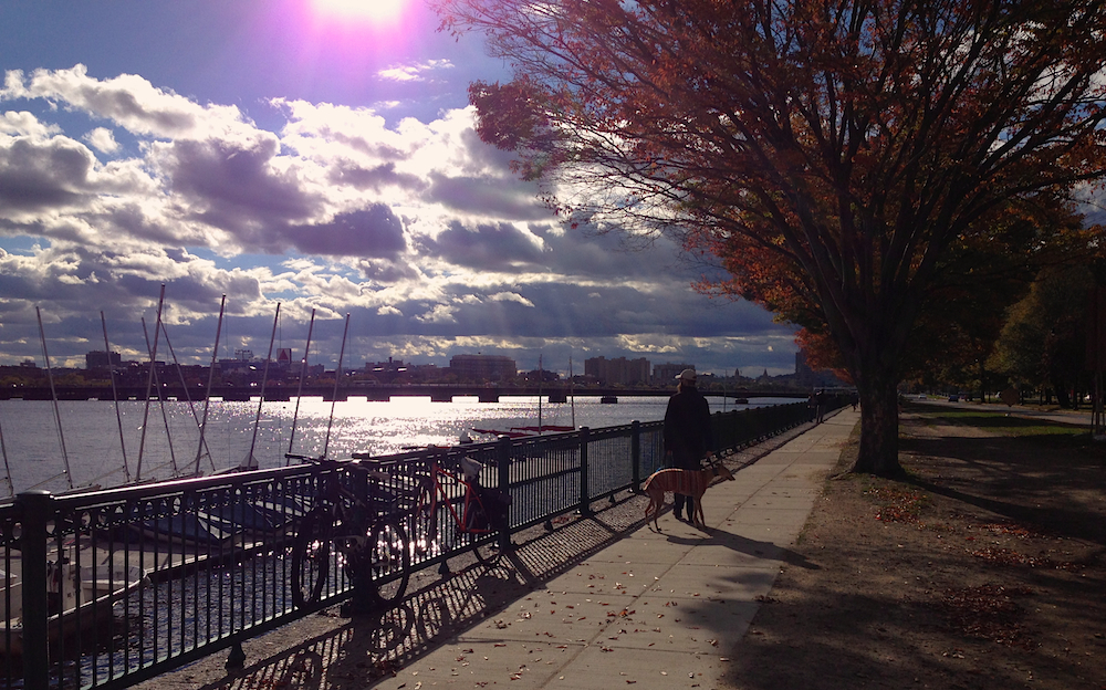 Mr. FW and Frugal Hound enjoying a late October stroll along the Charles River