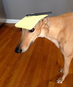 Frugal Hound is here to help you make your list