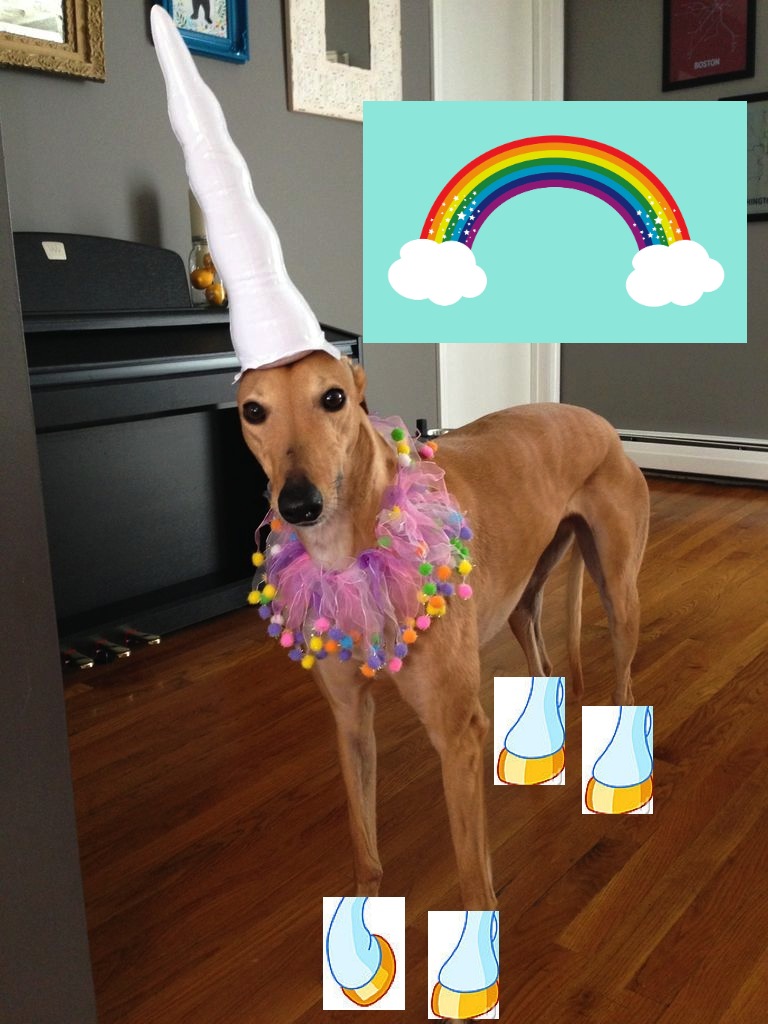 Frugal Hound the Magical Compound Interest Unicorn