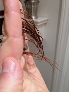 Mr. FW ran the hair between his fingers until he reached the end of the shortest strands.