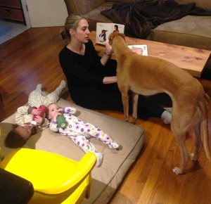 Frugal Hound listening to a story with her new friends, the Budget Blonde family