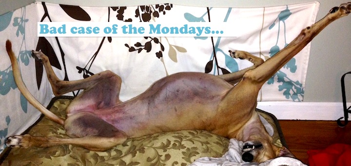 Frugal Hound apparently has Mondays too...