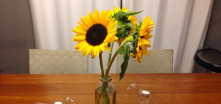 Gratuitous photo of the sunflowers because I love them! They are, after all, my favorite flower.