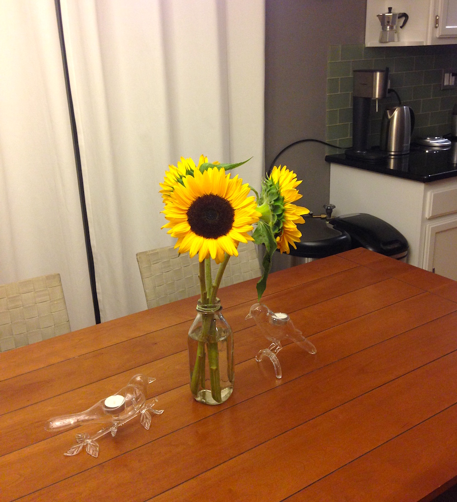 Gorgeous sunflowers our friends gave us in thanks for watering their garden