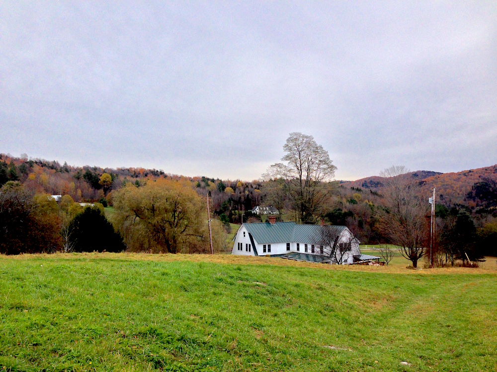 A view of Stitchdown Farm from their upper pasture