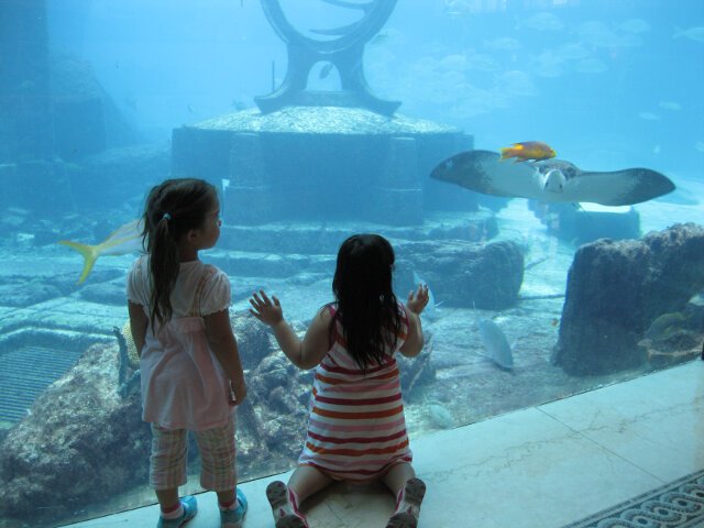 My daughters observing the aquatic life in the Bahamas