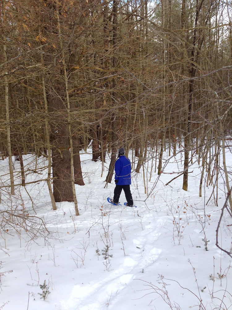 Mr. FW snowshoeing through our woods