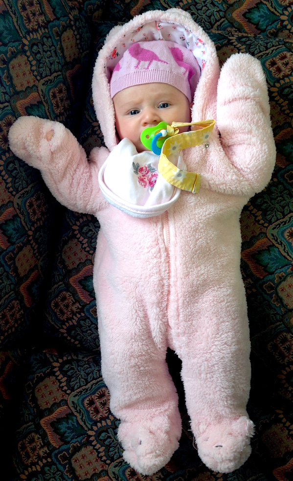 Gratuitous photo of Babywoods in a snowsuit. It has nothing to do with this post, but she looks hilarious.