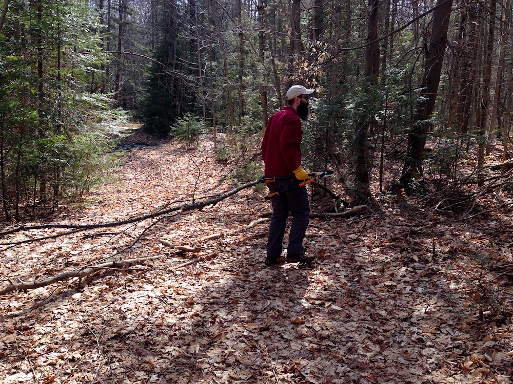 Mr. FW clearing brush on one of our trails