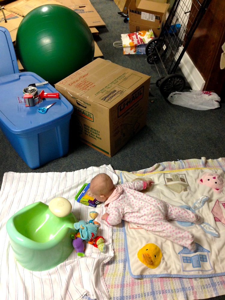 Babywoods enjoying her "baby safe zone" in the basement
