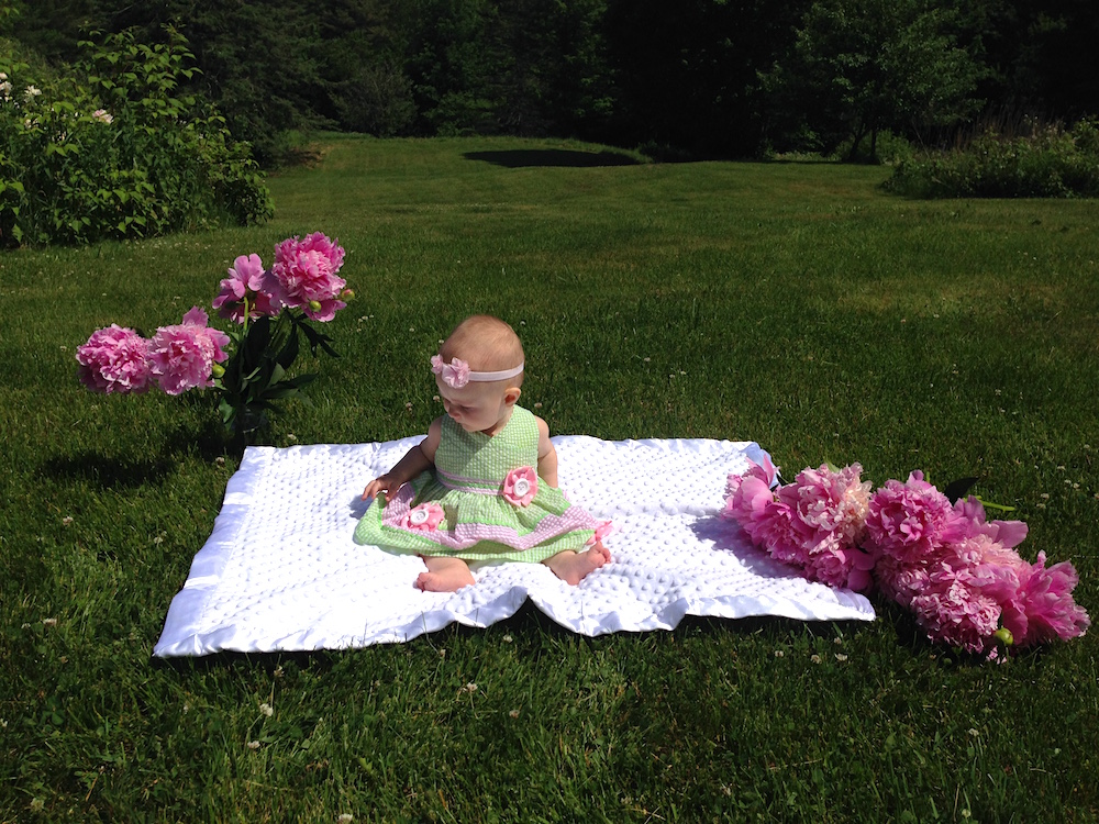 Babywoods in the yard with some of our peony harvest