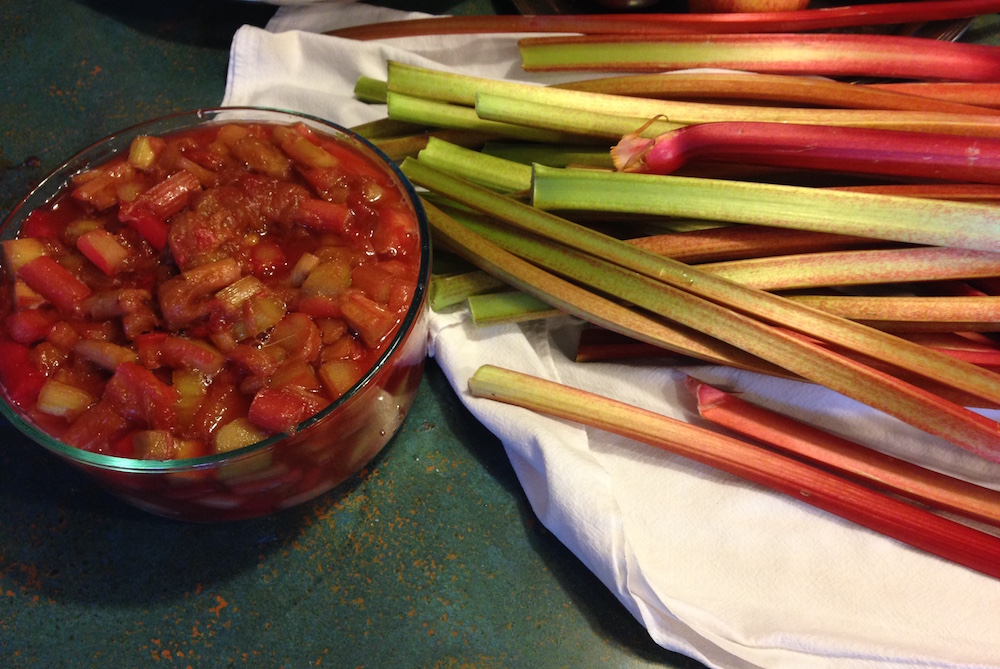 One of my rhubarb creations: compote! To be given as gifts I think!