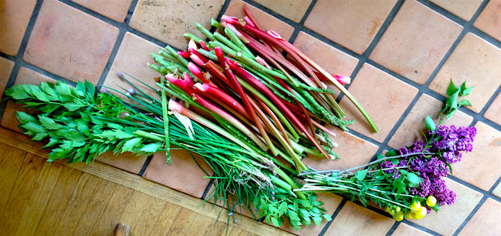 My latest haul: celery, flowers, asparagus, green garlic, and of course rhubarb!