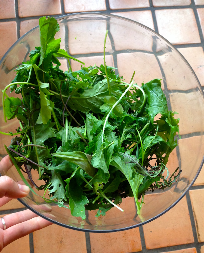 Greens from the garden! Also, a weird close-up of our kitchen floor...