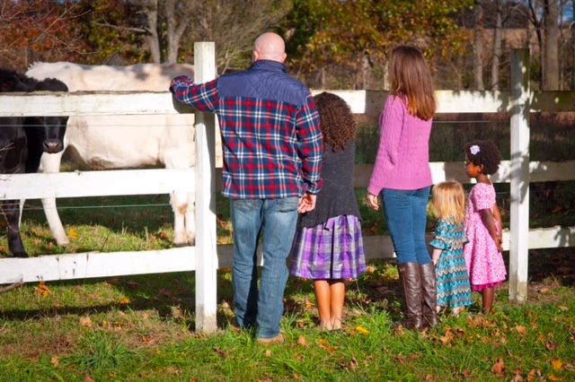The family with their cows