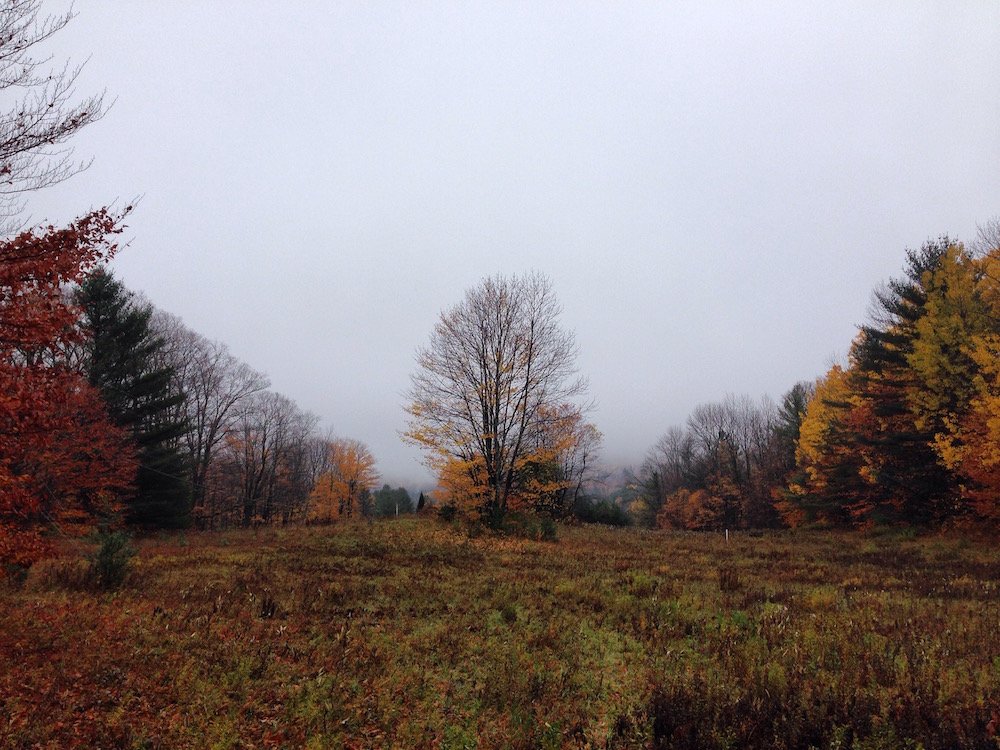 The upper field in late fall