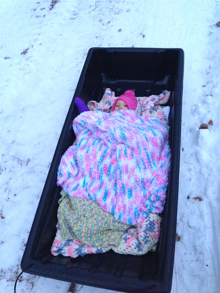 A snuggly Babywoods in her game sled