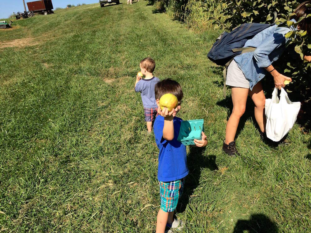 Grace's sons apple picking