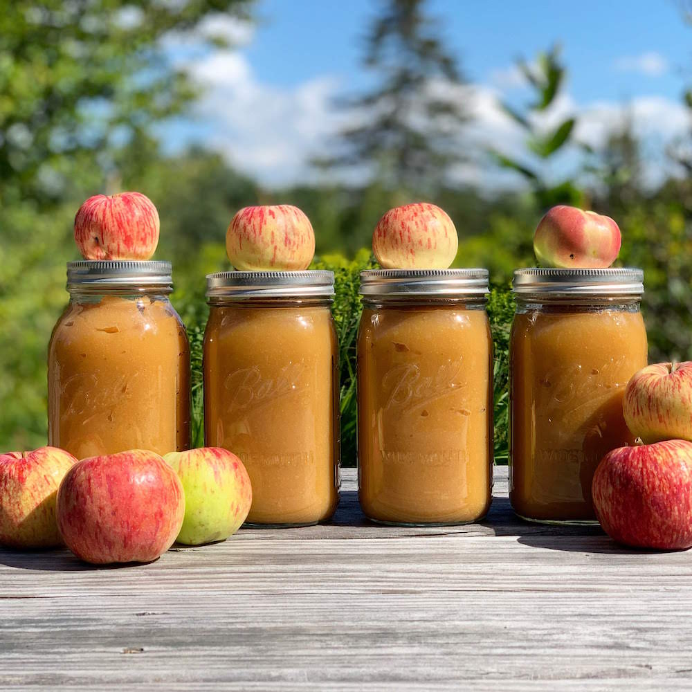 Preserving Apples: How to Make Homemade Apple Cider Vinegar ~ Homestead and  Chill