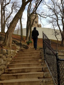 Mr. FW and Frugal Hound walking up the steps of Prospect Hill Park