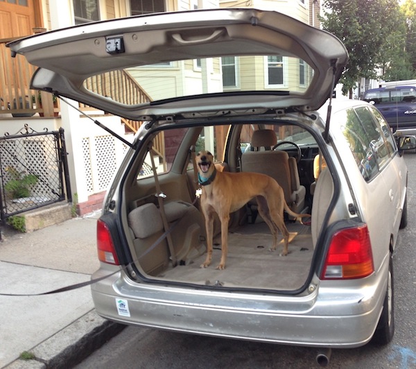 Frugal Hound shows off our sweet 19-yr-old ride