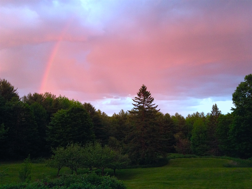 Summertime rainbow over our yard