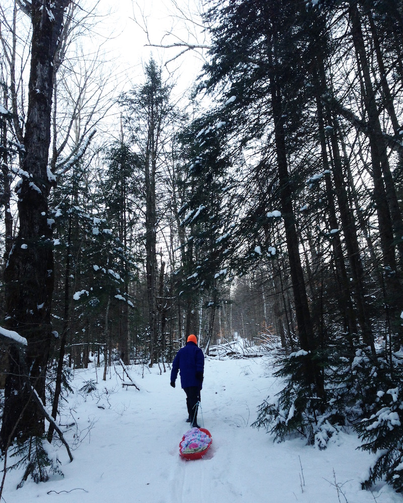 Mr. FW testing out the small plastic sled in our woods. Verdict: not sturdy enough.