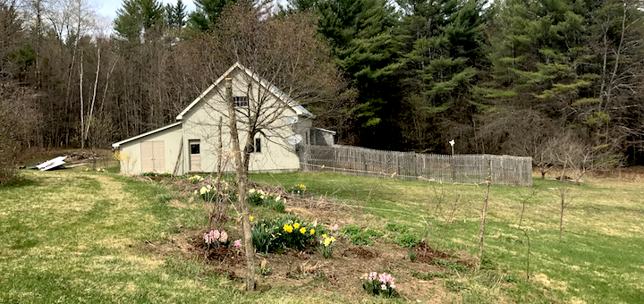 This Month On The Homestead: Mud, Trellises, and The Land Trust