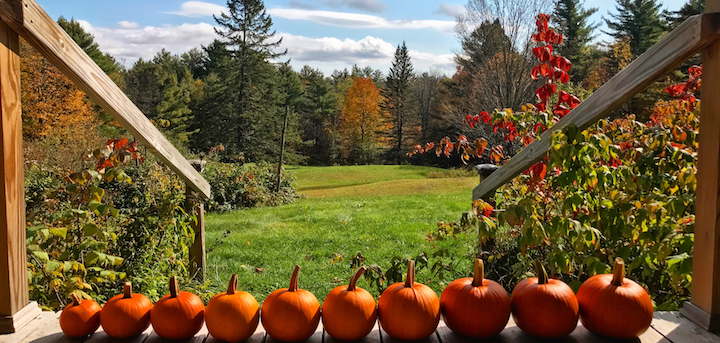 This Month On The Homestead: Apple Cider and Pumpkins