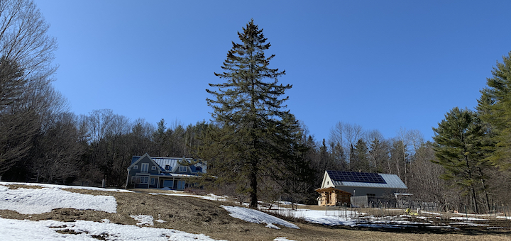 This Month On The Homestead: Making Maple Syrup, Starting Vegetable Seeds, and Other Pandemic Pursuits