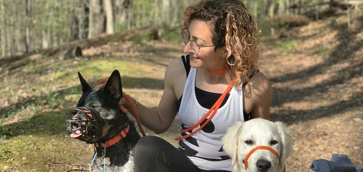 Reader Case Study: Full-time Dog Trainer Needs More Space for… Dog Training!